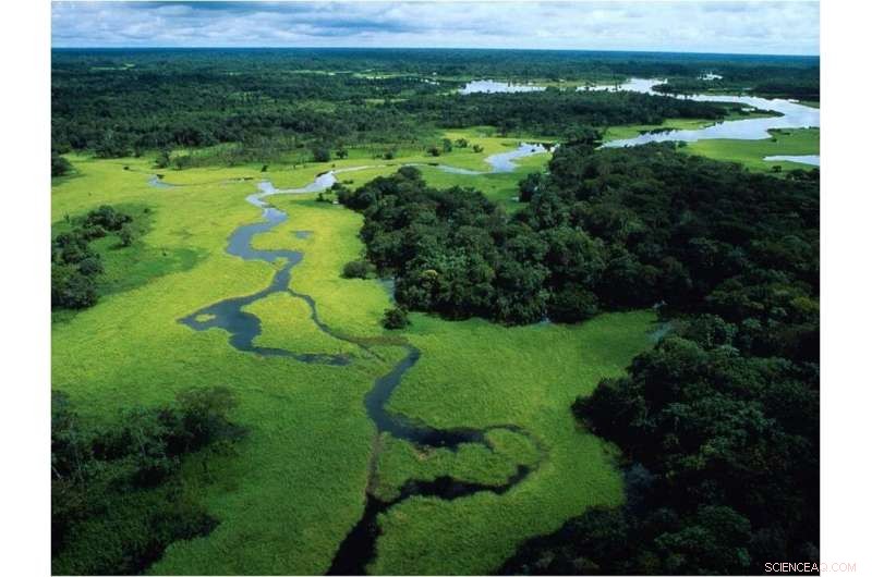 G7 Acknowledges Amazon Fires, Yet Overlooks Climate and Nature Crisis Roots