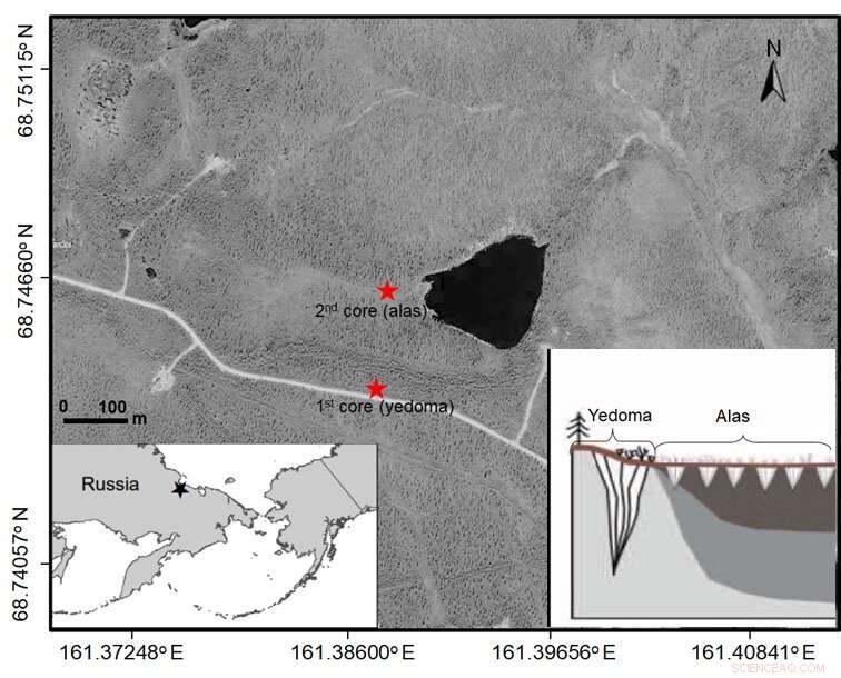 Arctic Permafrost Melting Amplifies Greenhouse Effect, Study Finds