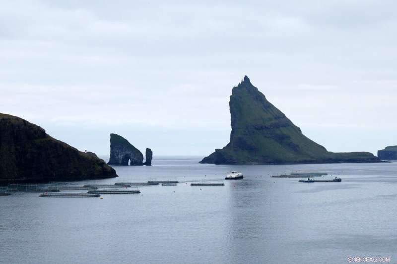 Denmark Suspends Offshore Fish Farming to Protect the Environment