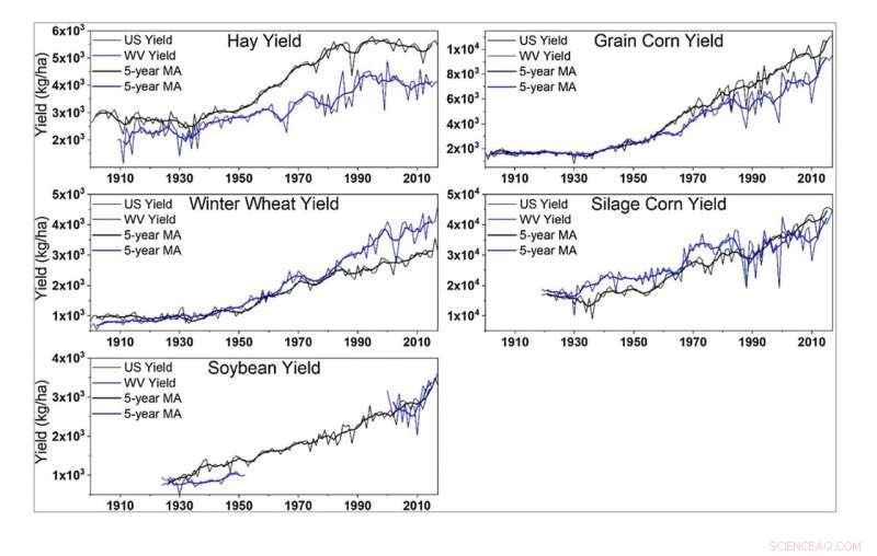 Can Climate Change Bring Benefits? New Research Highlights Agricultural and Economic Opportunities