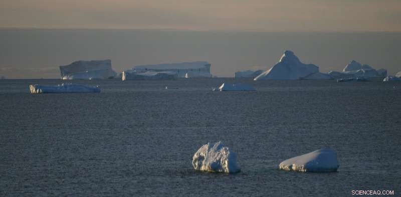 Acidic Oceans Reduce Plankton Populations, Accelerating Climate Change