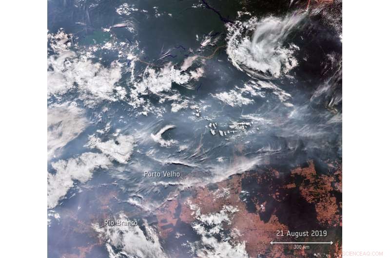 Amazon Wildfires Devastate the Region