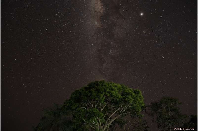Brazil Secures Chilean Aircraft to Combat Amazon Wildfires