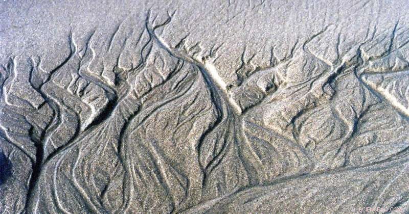 Researchers Urge Better Infiltration Integration in Land Surface Models