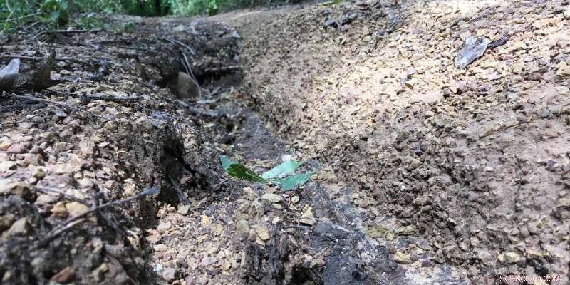 Researchers Urge Better Infiltration Integration in Land Surface Models