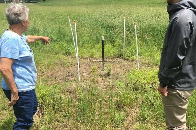 Researchers Unveil Cost-Effective, Streamlined Methane Detection Protocol