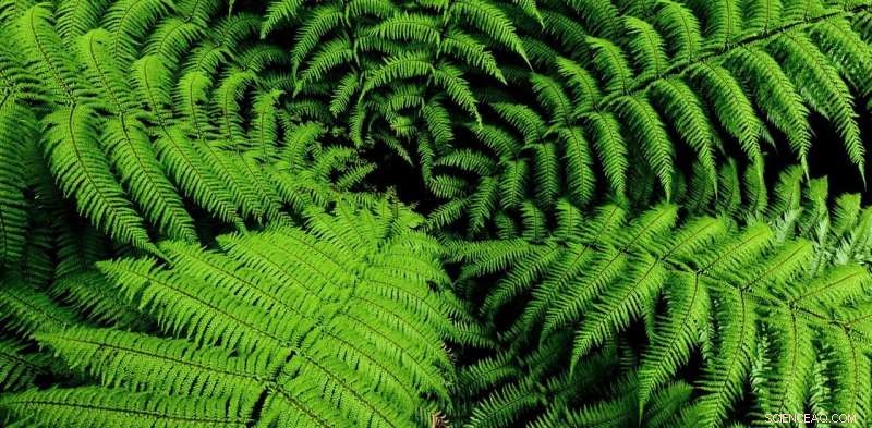 Climate Change Explained: Emissions Trading Schemes as a Path to Zero‑Carbon Futures