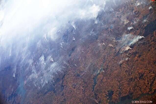 Safeguarding the Amazon: Policy Reform and Reduced Beef Consumption