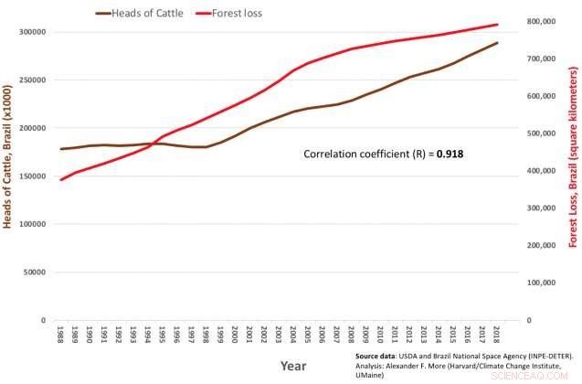 Safeguarding the Amazon: Policy Reform and Reduced Beef Consumption