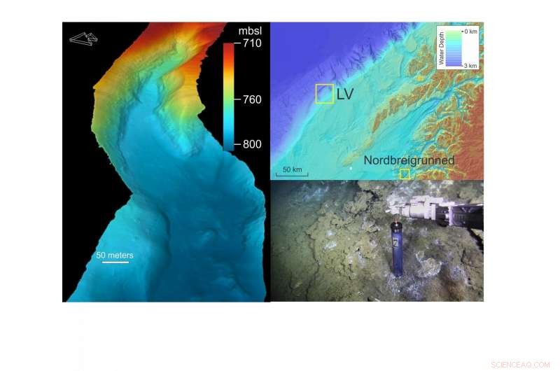 Scientists Discover Freshwater Plumes in Norwegian Sea Canyons