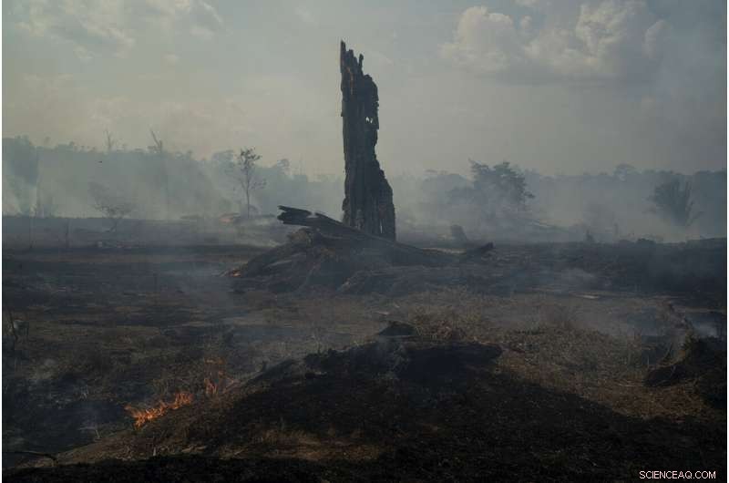 Brazil Sees Surge in Respiratory Illnesses Amid Escalating Amazon Fires