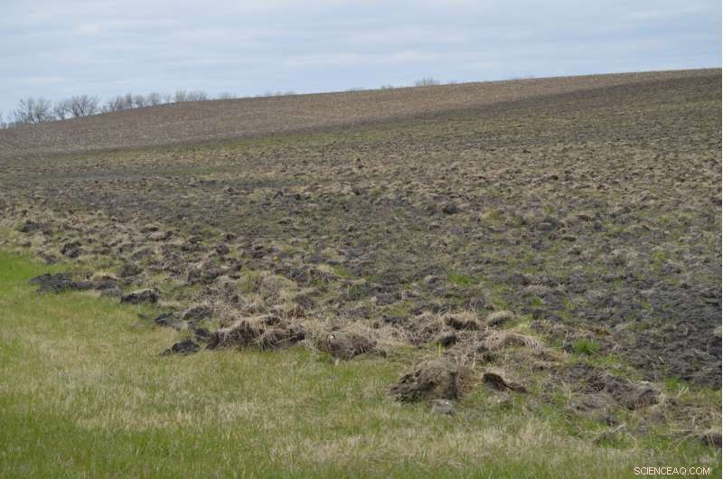 New Study Reveals U.S. Land Carbon Sink Likely Overestimated