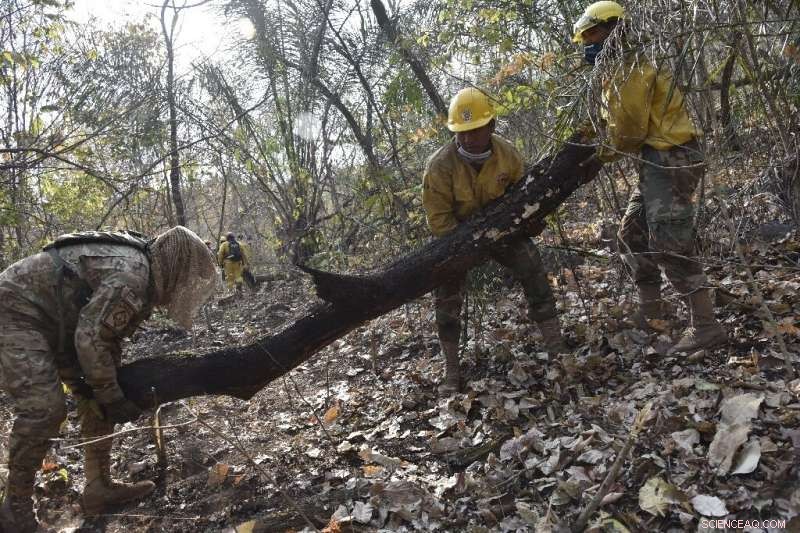 UN Secretary‑General Proposes Global Summit to Combat Amazon Forest Fires