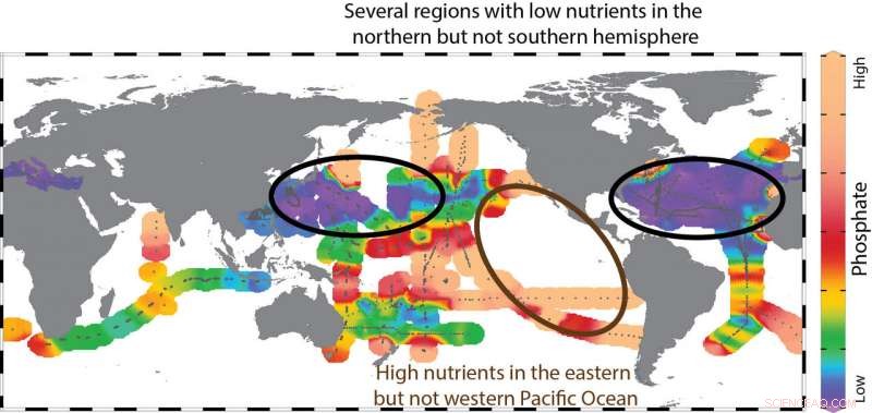 Plankton Exhibit Greater Resilience to Nutrient Stress Than Previously Believed