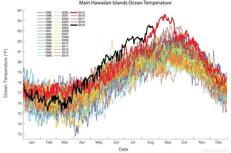 ASU Launches Initiative to Protect Hawaiian Coral Reefs Amid Rising Ocean Heatwave