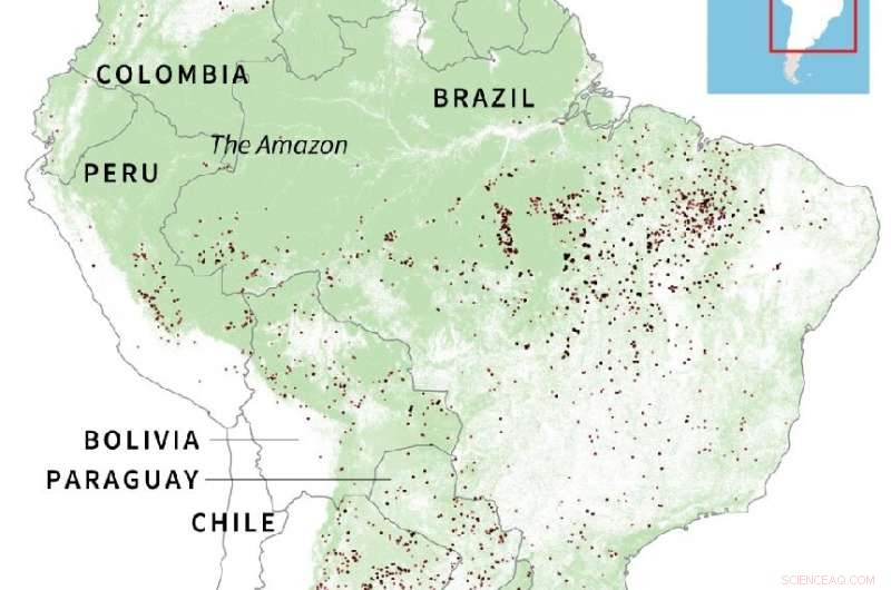 Brazil Enforces 60‑Day Burning Ban Amid Amazon Fire Crisis