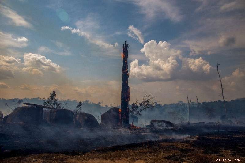 Brazil Enforces 60‑Day Burning Ban Amid Amazon Fire Crisis