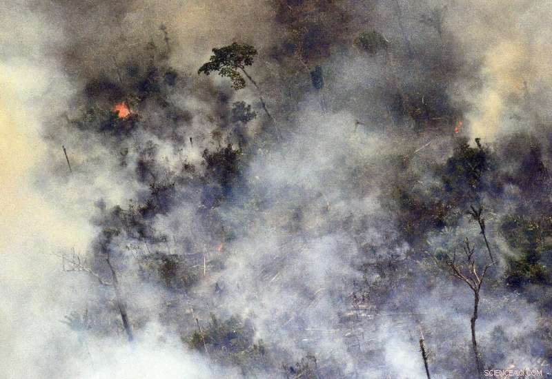 Brazil Imposes 2-Month Ban on Burning to Mitigate Amazon Fires