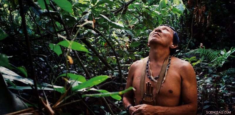 Amazon Fires: Indigenous Communities Demonstrate Sustainable Fire Management