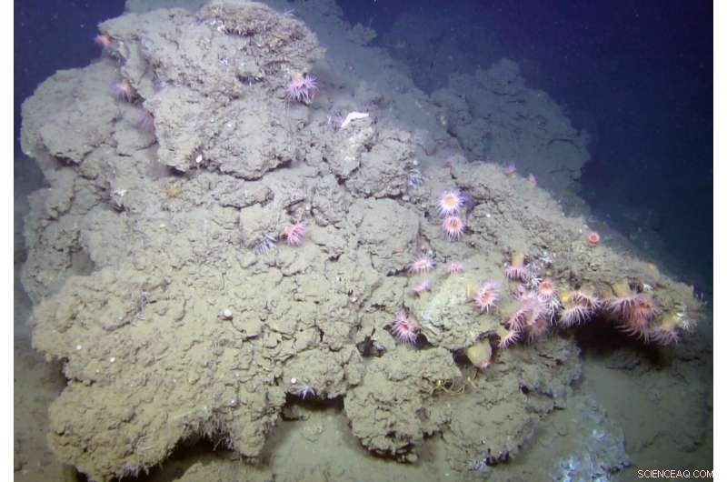 Ice Volume Shifts Govern Seabed Methane Release