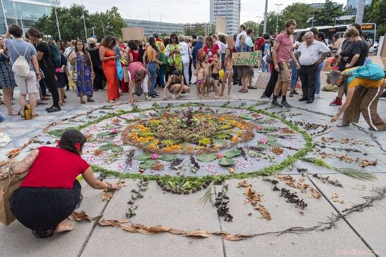 Combating Amazon Fires: 8 Practical Ways to Help