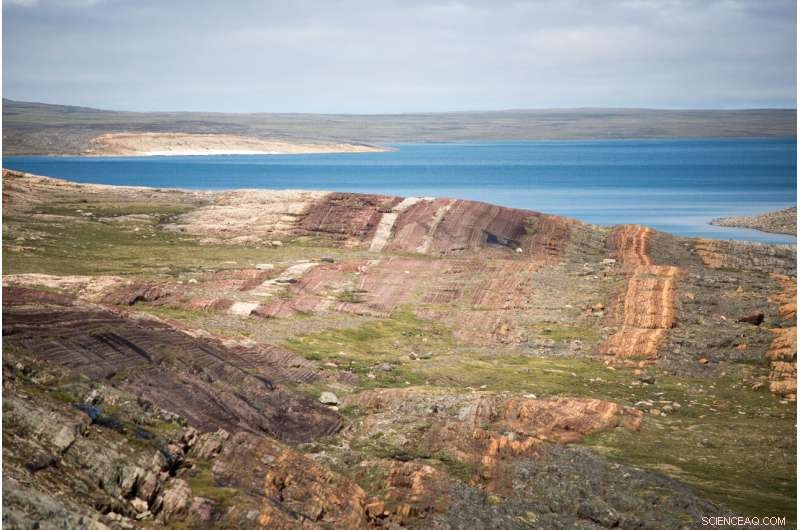 A Primordial Mass Extinction Surpassing the Dinosaur Event