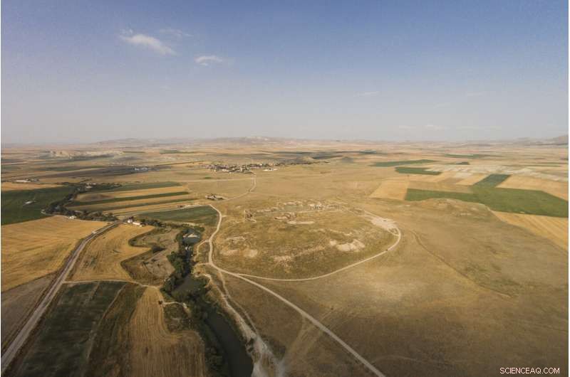 Crowdsourced Archaeology Reveals Human Impact on Earth Over Millennia