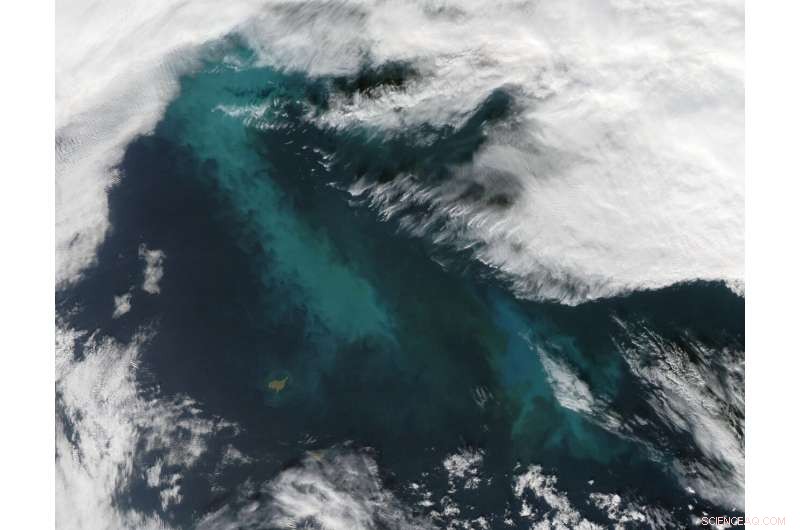 Arctic Bacteria Convert Algae Blooms into Cloud Seeds