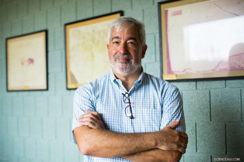 Man‑Made Fires Threaten Brazil’s Amazon Rainforest, Bringing It to the Edge