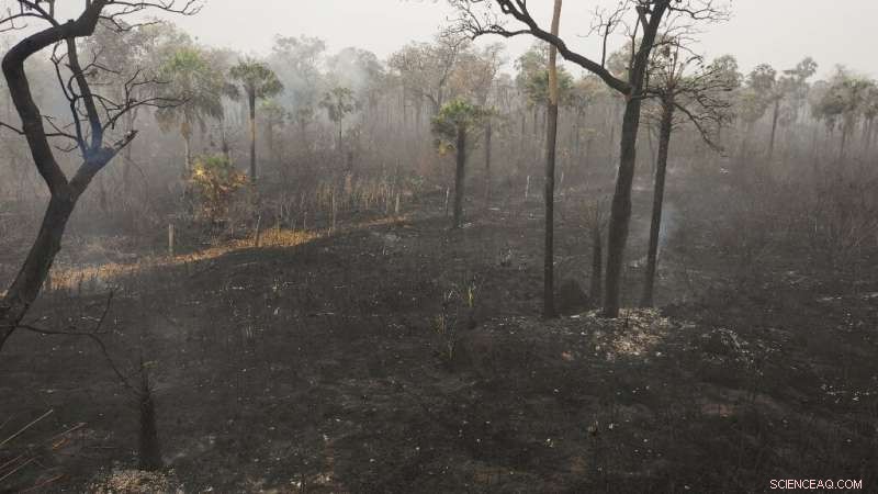 Bolivia Reports 1.2 Million Hectares Lost to Wildfires This Year