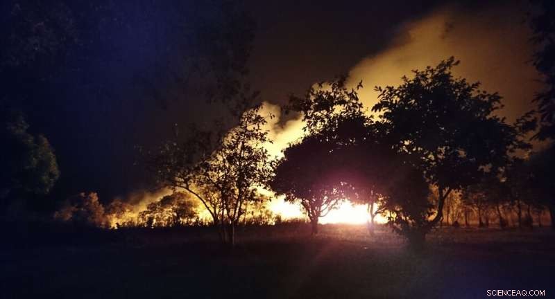 Archaeologists Reveal Deep, Global Roots of the Anthropocene