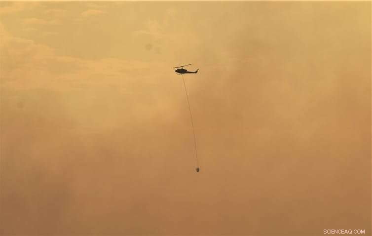 Effective Strategies for Extinguishing Forest Fires