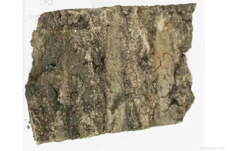 Glauconite: A Sustainable Alternative to Traditional Potassium Fertilizers