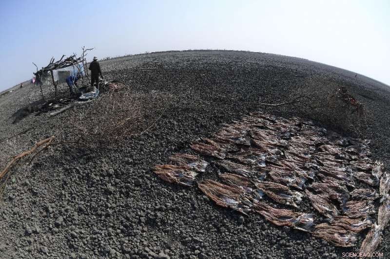 Botswana s Drought Crisis: Farmers and Livestock Face Severe Hardships