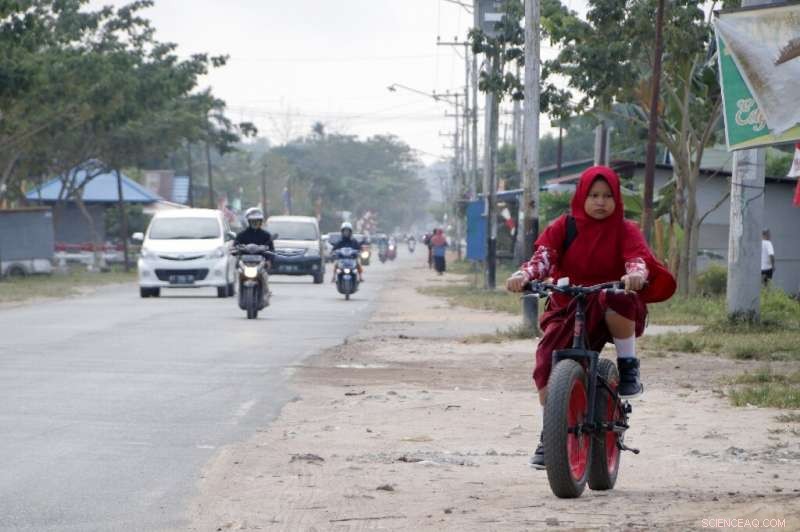 Indonesia s Capital Shift to Borneo: Solving Jakarta s Decline or Creating a New Environmental Threat?