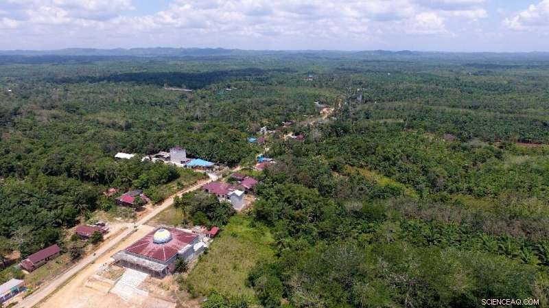 Indonesia s Capital Shift to Borneo: Solving Jakarta s Decline or Creating a New Environmental Threat?