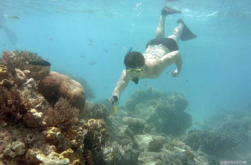 Australia Declares Great Barrier Reef s Future as  Very Poor 