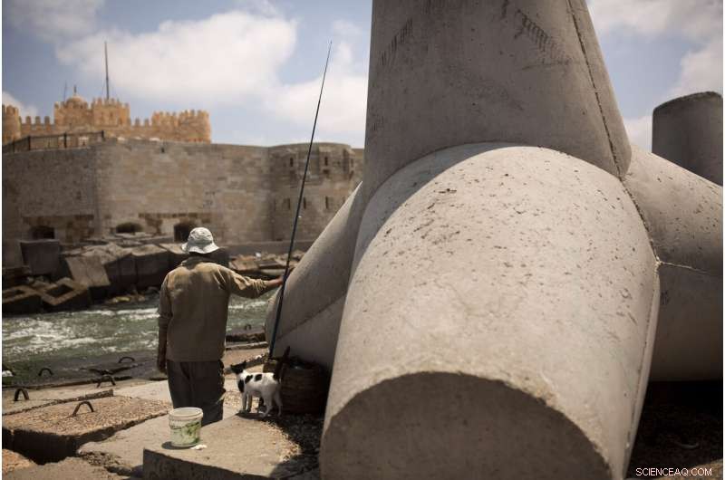 Rising Seas Threaten Alexandria: Egypt’s Historic Port City Faces Climate Crisis