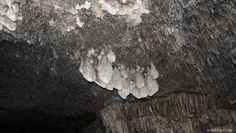 New Study Reveals Evidence of Significant Past Sea-Level Rise