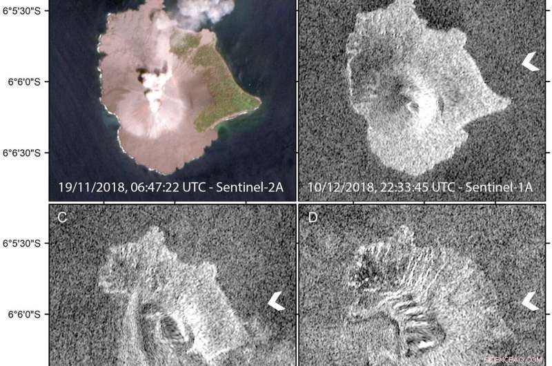 Reconstructing the Anak Krakatau Flank Collapse that Triggered the December 2018 Indonesian Tsunami
