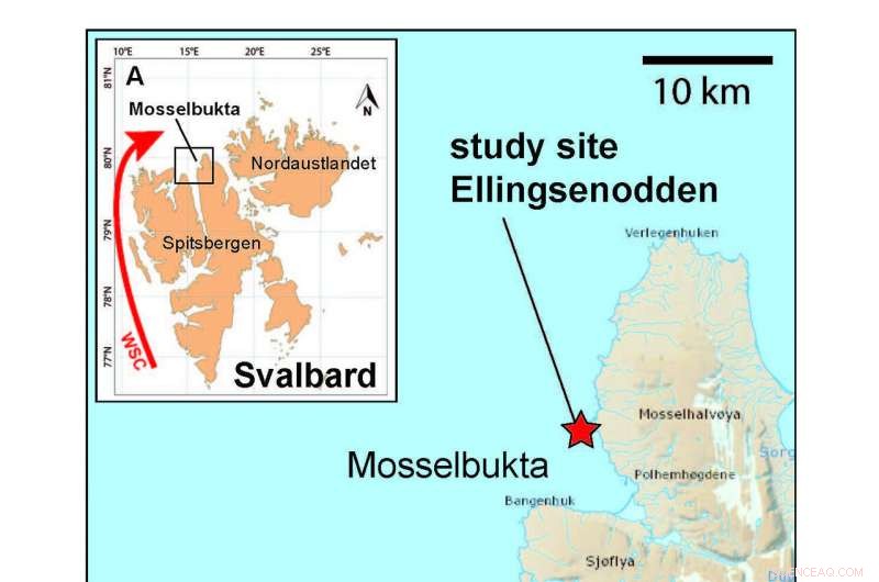 Early 20th Century Arctic Sea Ice Decline: Strong Evidence from Long‑Term Records