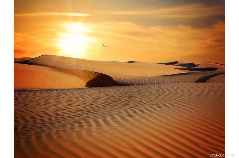 New Feedback Mechanism Amplifies Global Drought and Aridity Trends