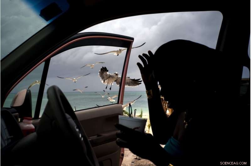 Hurricane Dorian Strikes Bahamas as Cat‑5 Storm, Causing Massive Damage