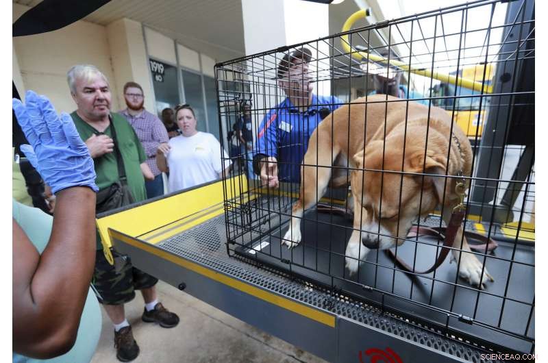 Deadly Hurricane Dorian Stalls Over the Bahamas, Causing Massive Damage
