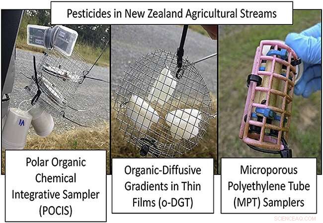 New Zealand Streams Contain European-Banned Pesticides, University of Otago Study Reveals