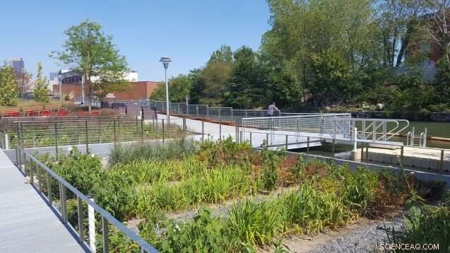 Discover the Surprising Advantages of Green Infrastructure