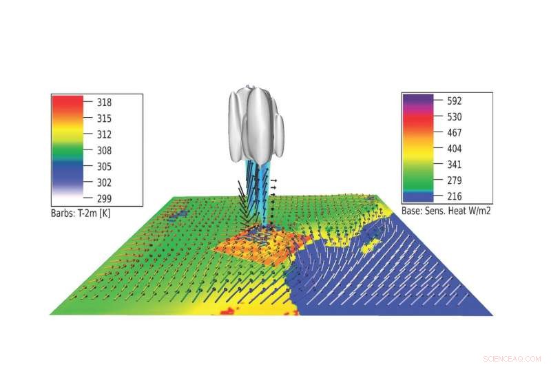 Oman Desert Plantations Boost Rainfall: New Findings Reveal Climate Impact