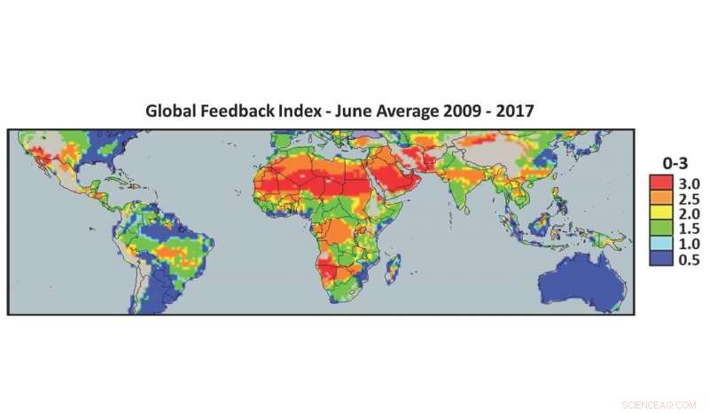 Oman Desert Plantations Boost Rainfall: New Findings Reveal Climate Impact