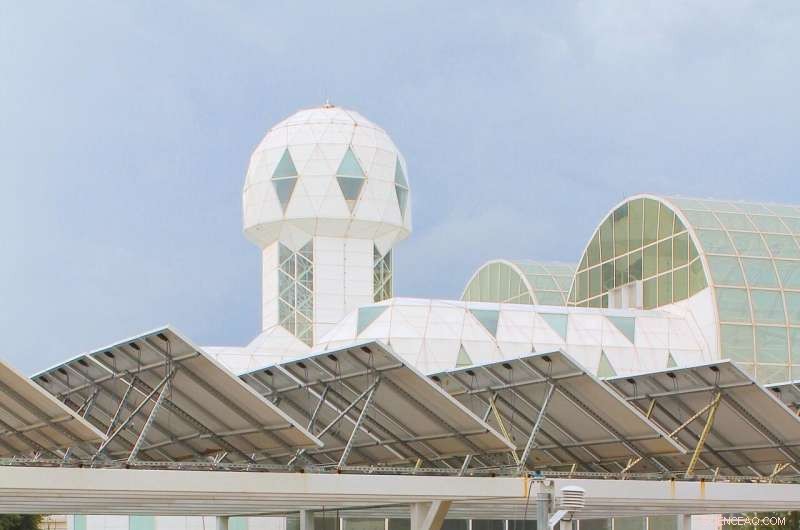 Agrivoltaics: A Synergistic Solution for Food, Water, and Energy