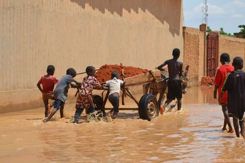Niger Grapples with Devastating Floods as City Streets Overrun